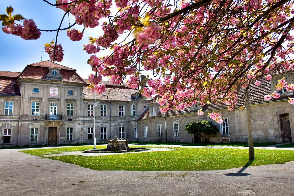 Gaestehaus Schloss Plaue Бранденбург Екстериор снимка